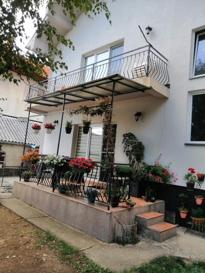 Apartment Mihajlovic Vranje Exterior photo